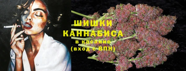 молекула духа Кинешма