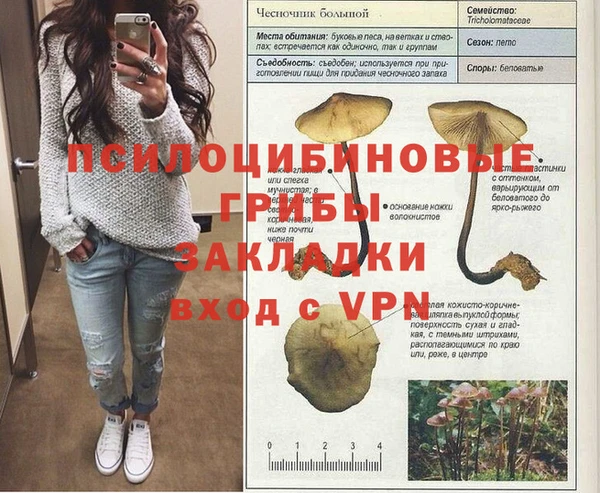 молекула духа Кинешма