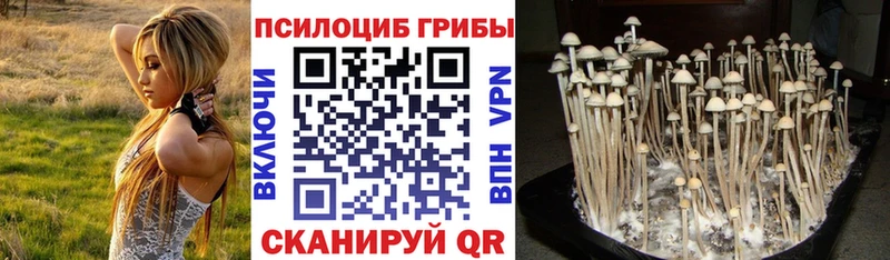 Псилоцибиновые грибы мицелий Котельнич